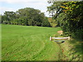 Drain, Sundridge Park Golf Course (3)