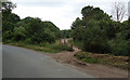 Entrance to Epping Forest from Lippitts Hill