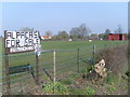 "Alpacas for Sale" Notice, Eaton Bray