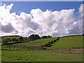 Farmland near Langton Farm