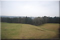 Small valley on the edge of  Redhouse Wood