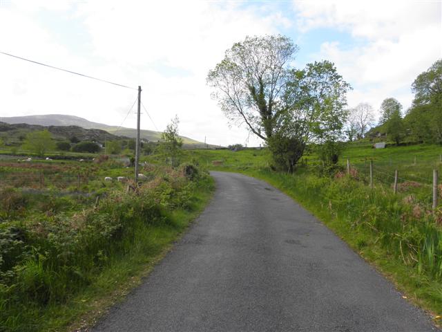 Road at Derrynacarrow