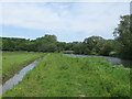 Drain and Great Stour