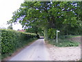 TM3266 : Low Road, Bruisyard & footpath to Church Road by Geographer