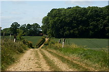 TQ2554 : Public Bridleway Near Kingswood, Surrey by Peter Trimming