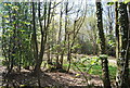 Little Heath, Limpsfield Common