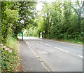 Bus stops in a wooded area, Bryn Road, Pontllanfraith