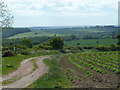 Southward view from Barlow Lees