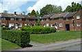 Houses on Reney Avenue