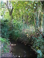 The Kyd Brook by the southern end of Gosshill Road, BR7 (8)