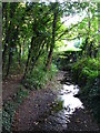 The Kyd Brook, Gosshill Wood