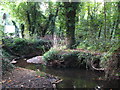 The Kyd Brook, Gosshill Wood (2)