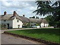 Thatched houses in Gittisham