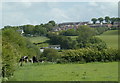 Looking up the hillside to Coal Aston