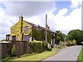 Cottages near Waring