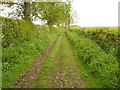 Bridleway near Newby