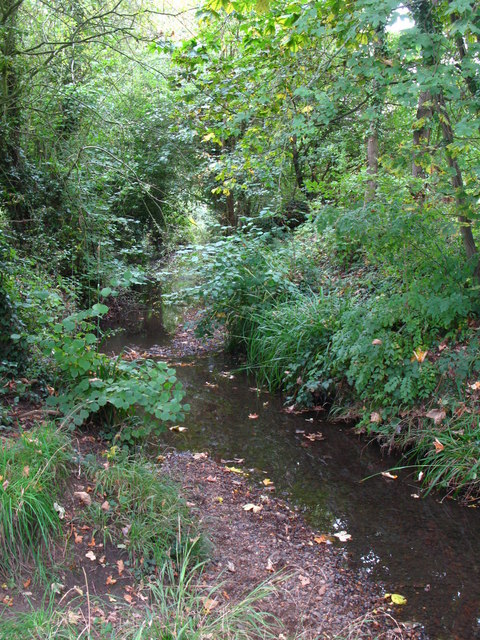The Kyd Brook south of Pond Wood (6)
