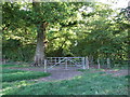 Gate and Stile, Stapehill