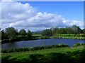 Cultenhove, Swanswater Fishery