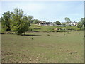 Fields on the north side of Crumlin Bungalows, Pontypool