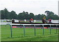 Steeplechase at Fontwell Park racecourse