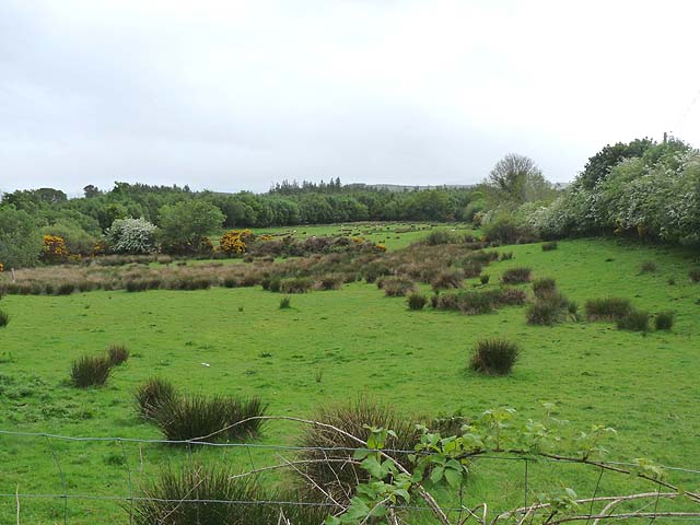 Field Of Rough Grazing At Gortfree © Oliver Dixon :: Geograph Ireland