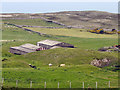 SH7683 : Great Orme Country Park by David Dixon