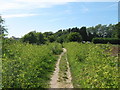 Footpath near Little Cliffsend