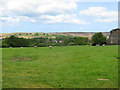 Pastures at Goathland