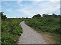 TR3462 : Path in Pegwell Bay Nature Reserve by David Anstiss