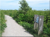 TR3462 : Information Board in Pegwell Bay Nature Reserve by David Anstiss