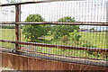 Looking Down Disused Coal Rail Line, Mansty