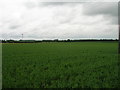 Farmland north of the A18