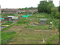 Allotments beside the railway