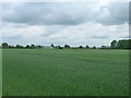 Farmland near Botany Bay