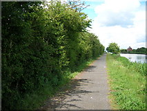 SE6214 : Path beside New Junction Canal by JThomas