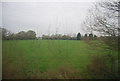 Farmland near Queen Street