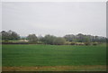 TQ7944 : Arable crops , Turley Farm by N Chadwick