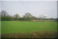 Farmland near East End