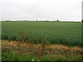 Farmland off Hadds Lane