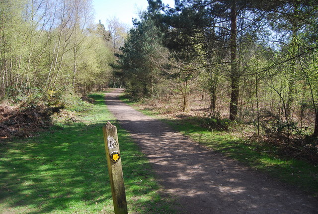 Greensand Way, High Chart © N Chadwick cc-by-sa/2.0 :: Geograph Britain ...