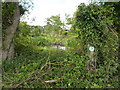 Pond at Bankwood Farm