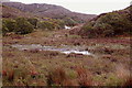 Wetland by the road to Glencanisp Lodge