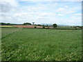 View from a footpath near Orleton