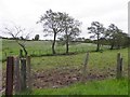 Stranisk Townland