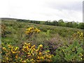 Stranisk Townland