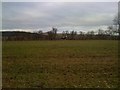 Field with horses and plough