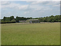 Paddocks near Nazeing