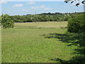 Footpath near Nazeing