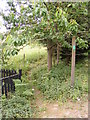 Footpath to School Lane